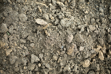 Excavated soil. Land for plants.