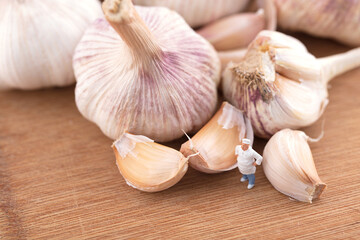 Creative Chef in Miniature and Garlic Condiment