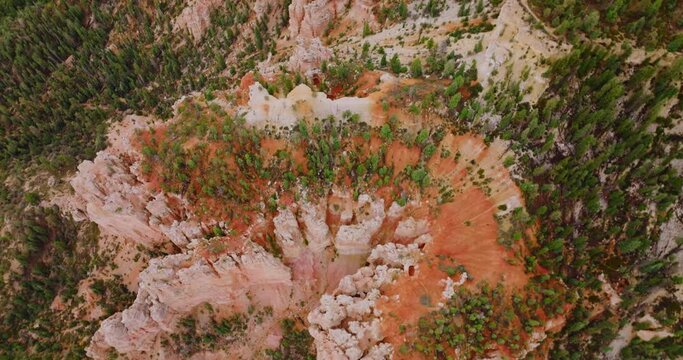 Pine trees growing on the canyon outlandish rocks. Outstanding Bryce National Park, Utah, United States from aerial view.