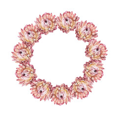 Watercolor boho wreath isolated on white background. Circle frame border template for design. Dry flower pink chrysanthemum for wedding. Hand-drawn summer autumn plant. Clipart with copy space