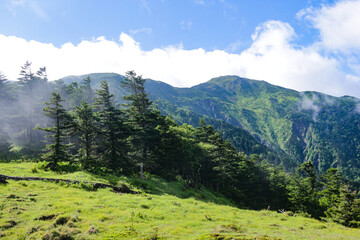 Fototapeta na wymiar 南アルプス南部　聖平から上河内岳を望む　日本
