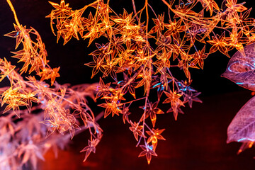 ペットボトルアート