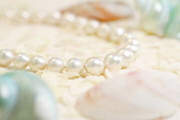 pearl necklace on a white background