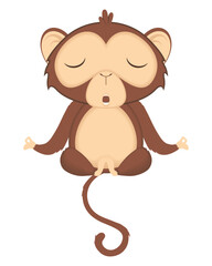 cute chimpanzee monkey funny
