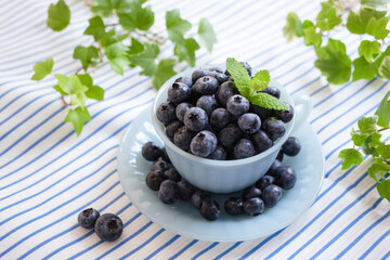 ブルーベリー(3)