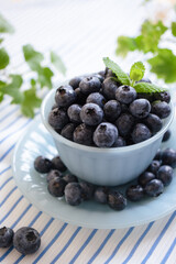 ブルーベリー(2)