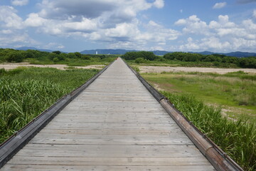 木津川の流れ橋
