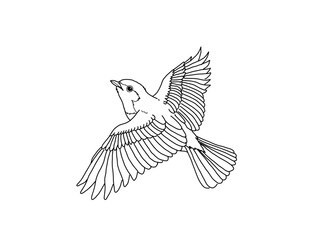 オオルリ　県鳥（栃木県）モノクロ