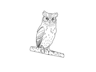 コノハズク　県鳥（愛知県）モノクロ