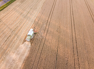 Combine at wheat field. Agriculture industry harvest background