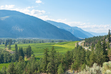 Fototapeta na wymiar View above the Crowsnest Highway of the Similkameen Valley in summer