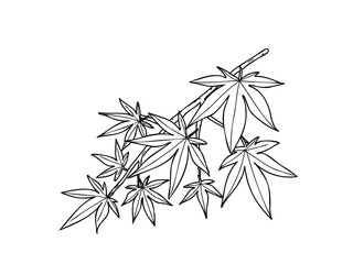 モミジ　県木（滋賀県）モノクロ