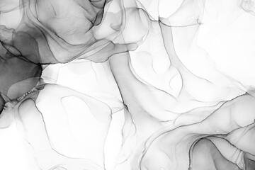 Marble ink abstract art from exquisite original painting for abstract background . Painting was painted on high quality paper texture to create smooth marble background pattern of ombre alcohol ink . © InfiniteFlow