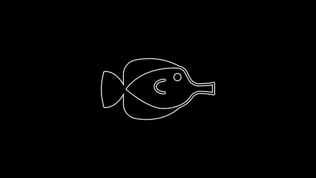 White line Butterfly fish icon isolated on black background. 4K Video motion graphic animation
