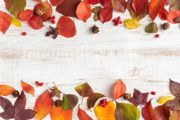落ち葉と赤い実と松ぼっくりの秋冬イメージのフレーム