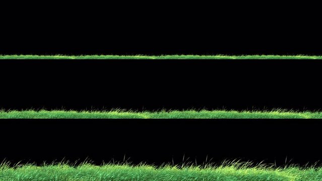 Grass Wind Slow Seamless Loop with Alpha Channel. Element footage place on footage or background and easier to adjust color.