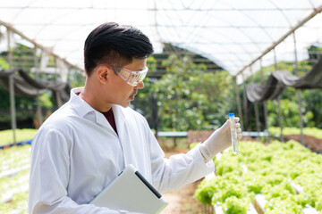 Biotechnologist holding test tube for research with vegetables in organic farm.  Researching for...
