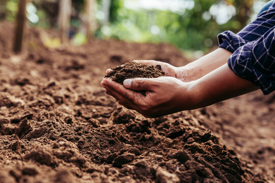 Hand Of Farmer Inspecting Soil Health Before Planting In Organic Farm. Soil Quality Agriculture, Gardening Concept.