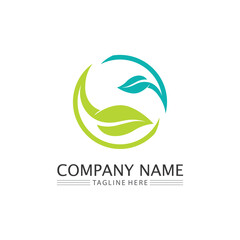 Tree leaf vector and green logo design friendly concept