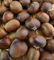 유기농 가을 밤, 견과류
