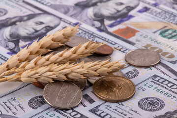 Ripe ears of wheat and American money