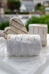 French cheeses heartshaped, squared and cylindrical neufchatel cow cheese with mold on white paper, Normandy, France