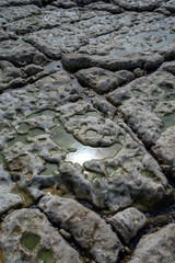 Low tide period and view on ocean bed and chalk cliffs of Porte d'Aval arch in Etretat, Normandy, France. Tourists destination.