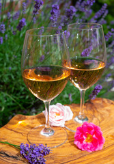 French rose wine from Provence, two glasses of wine with purple lavender flowers on background