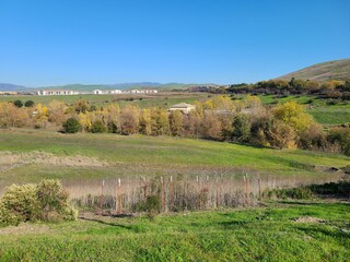 Cottonwood trees in Autumn splendor along the waters of Alamo Creek in Northern California