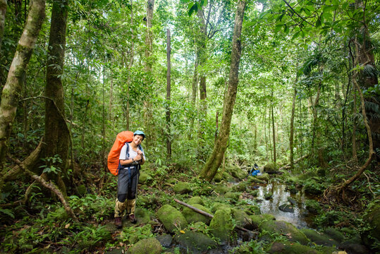 Backpackers stand happily in the vast green forest.