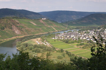 Fototapeta na wymiar Sommerliches Mosel-Tal, Deutschland