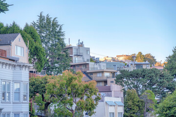 Fototapeta na wymiar Townhouses and apartment buildings surrounded by trees in San Francisco, California