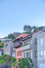 Three-storey houses with garden and mountain at the back in San Francisco, CA