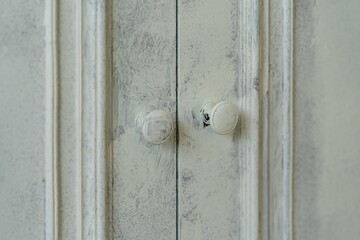 old vintage wardrobe doors