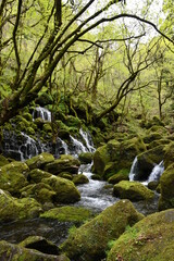 元滝伏流水