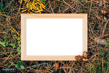 Wooden frame with white blank card on green natural background in forest. Top view Flat lay Mockup