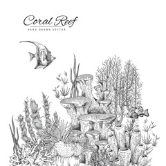 Undersea coral reef banner or card template, hand drawn vector illustration.