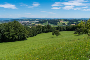 Fototapeta na wymiar Beautiful austrian highlands voralpen landscape in summer