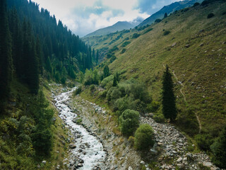 Obraz premium Mountain river and forest in summer Kyrgyzstan