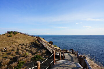 fine seaside walkway in autumn