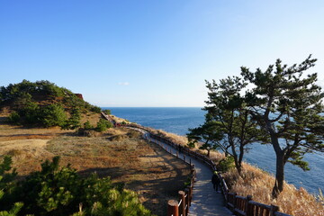 fine seaside walkway in autumn
