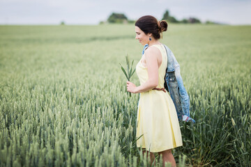 Lifestyle portrait of young stylish woman walking by wheat field and holding ears in his hands, wearing yellow dress