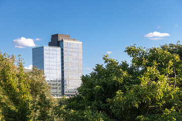 Fototapeta premium Glass building facade behind growing trees under blue bright sky