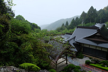 高知県の山奥の景色