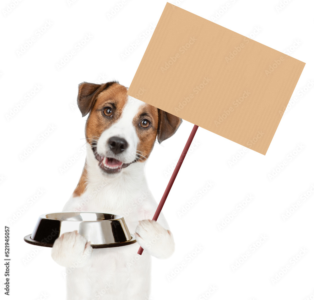 Poster jack russell terrier puppy holds empty bowl and shows empty placard. isolated on white background