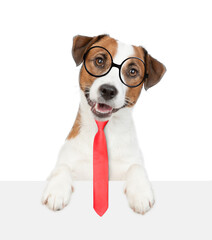 Smart Jack russell terrier puppy wearing necktie and eyeglasses looks above empty white banner. isolated on white background
