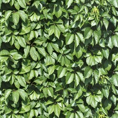 Green leafs pattern seamless background 4K. Texture pattern for continuous replicate.