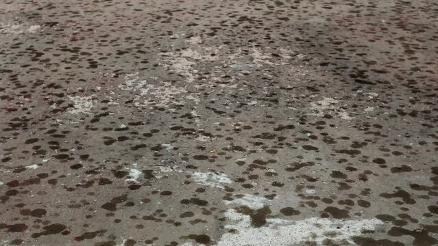 rain drops increase in intensity on the concrete surface during a summer storm