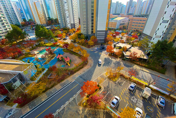 autumn in korea