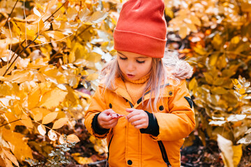 A little girl in the autumn in a yellow park jacket looking at the leaves